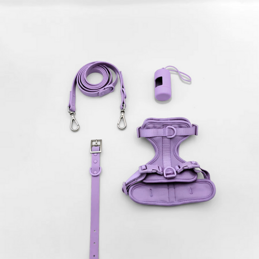 LILAC - Piwpiwa